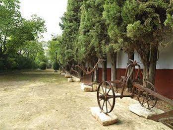Hacienda La Vereda モンティーリャ エクステリア 写真